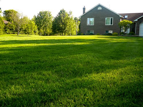 lawns-of-brockville-on-4102565